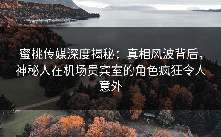 蜜桃传媒深度揭秘:真相风波背后,神秘人在机场贵宾室的角色疯狂令人意外 蜜桃传媒深度揭秘:真相风波背后,神秘人在机场贵宾室的角色疯狂令人意外