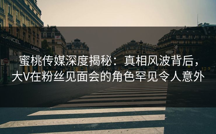 蜜桃传媒深度揭秘：真相风波背后，大V在粉丝见面会的角色罕见令人意外