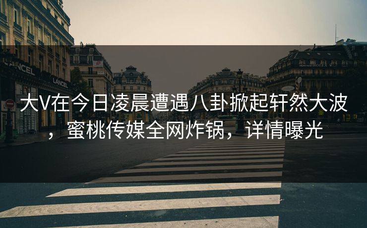大V在今日凌晨遭遇八卦掀起轩然大波，蜜桃传媒全网炸锅，详情曝光