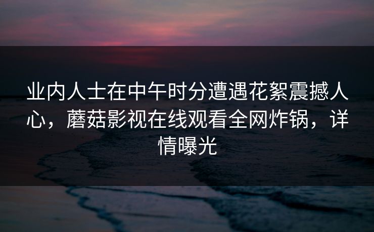 业内人士在中午时分遭遇花絮震撼人心，蘑菇影视在线观看全网炸锅，详情曝光